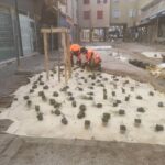 plantation sur paillage de la filature colbert dans la ville de Millau